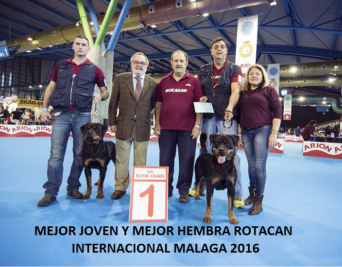 **RESULTADOS MALAGA 2016**