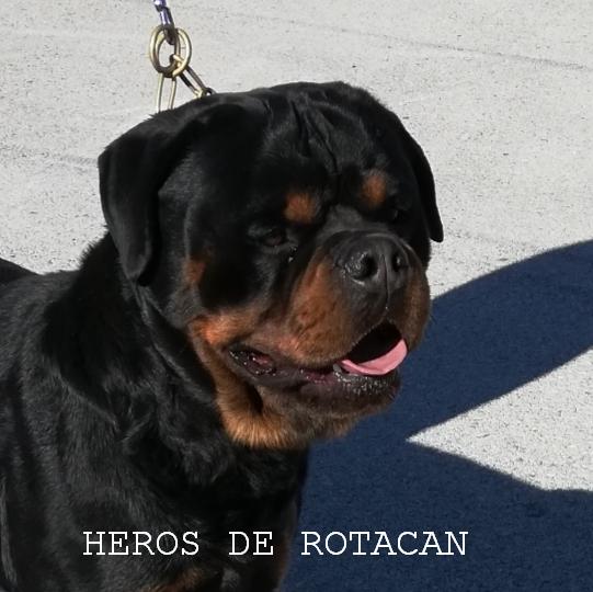 CH HEROS DE ROTACAN