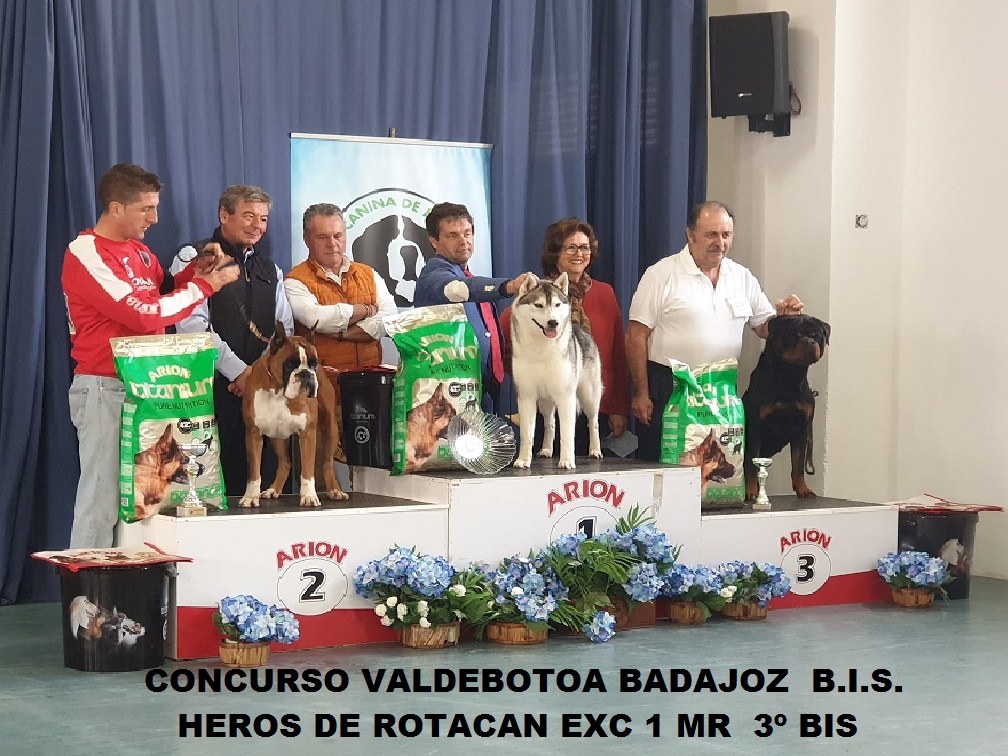 CONCURSO DE VALDEBOTOA BADAJOZ