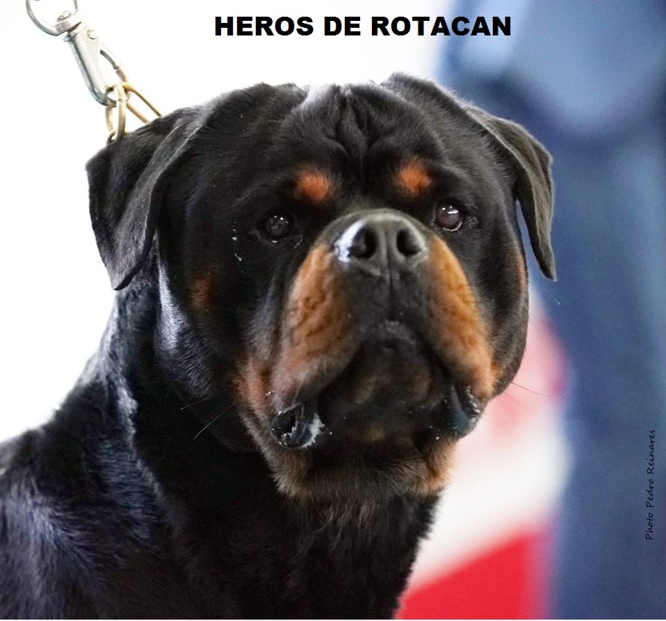 HEROS DE ROTACAN