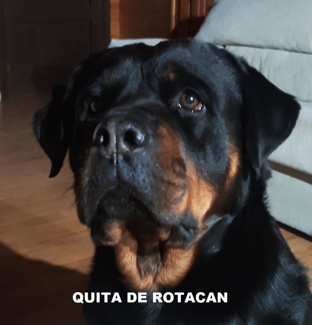 QUITA DE ROTACAN