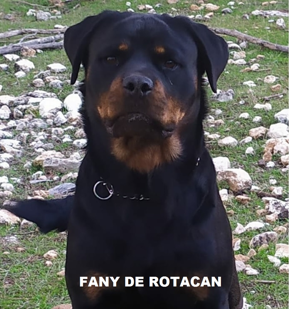 FANY DE ROTACAN