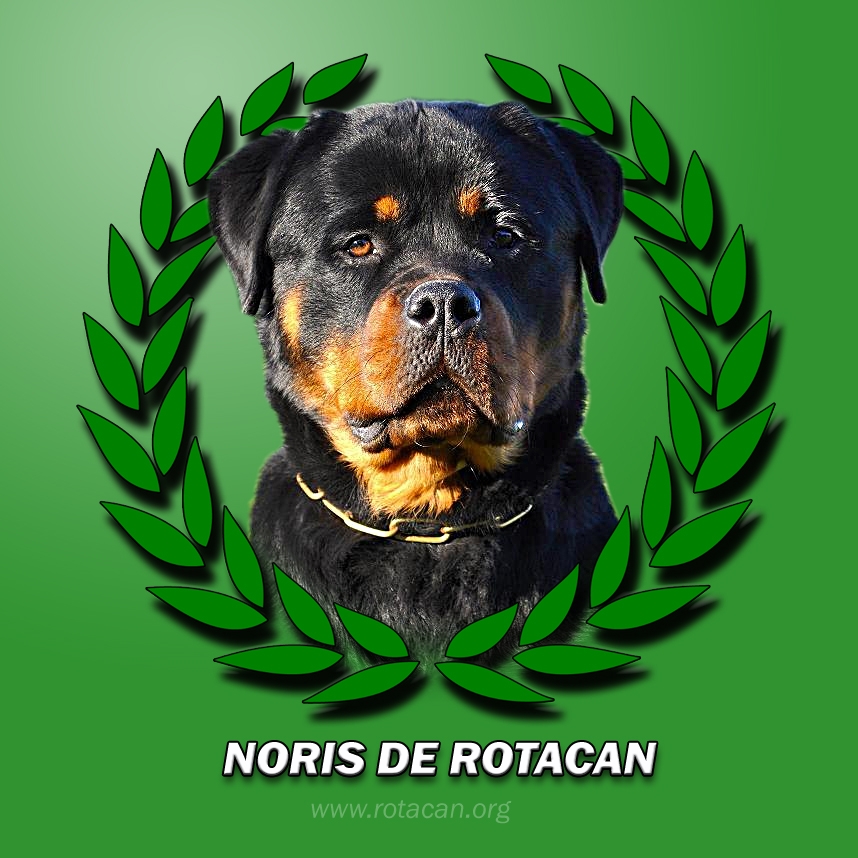 CH NORIS DE ROTACAN