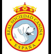 REAL CANINA DE ESPAÃ‘A