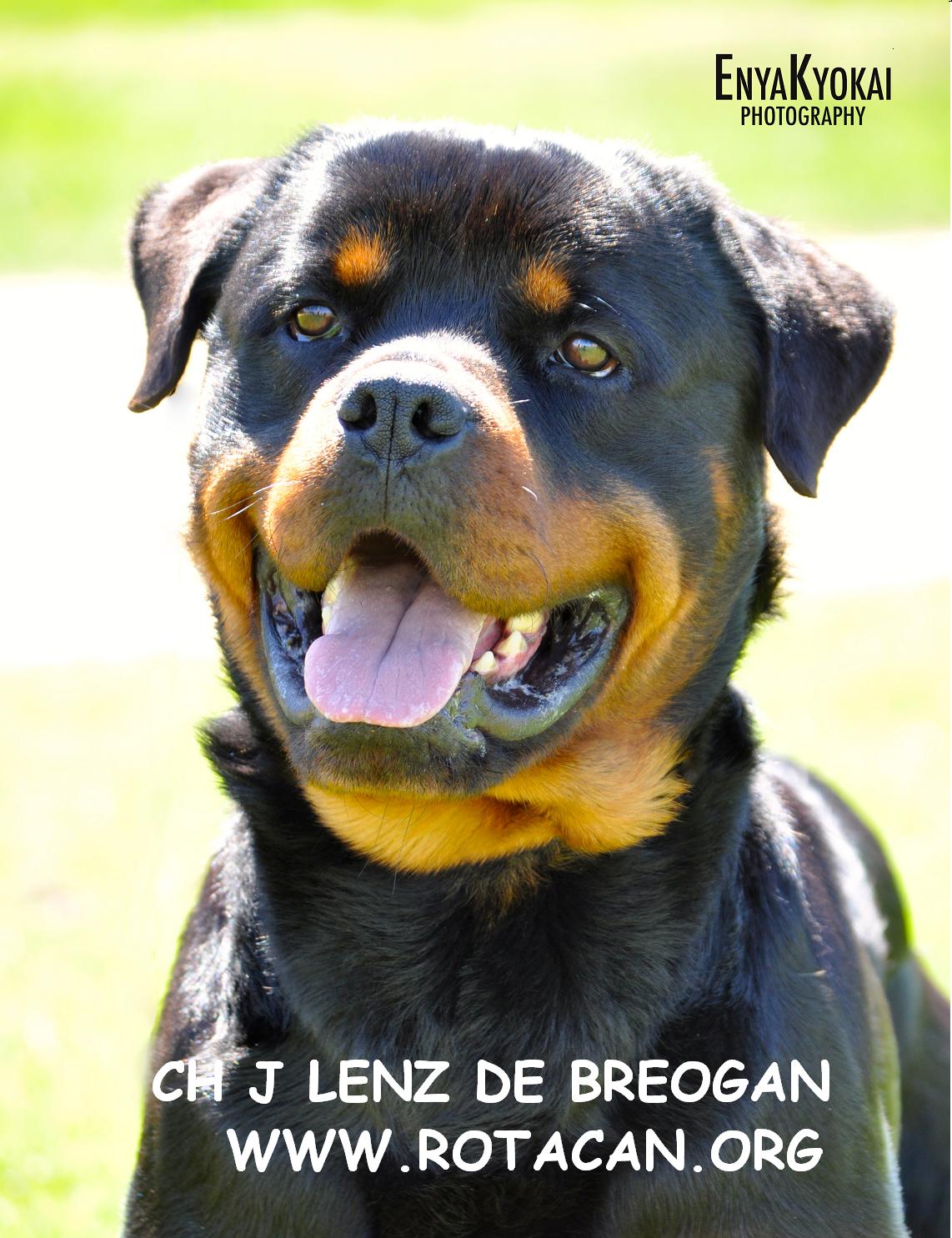 CH J LENZ DE BREOGAN 